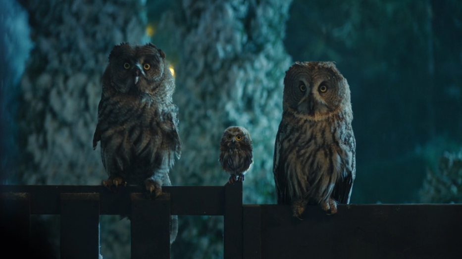 Migros - Mimi The Owl Learns To Fly